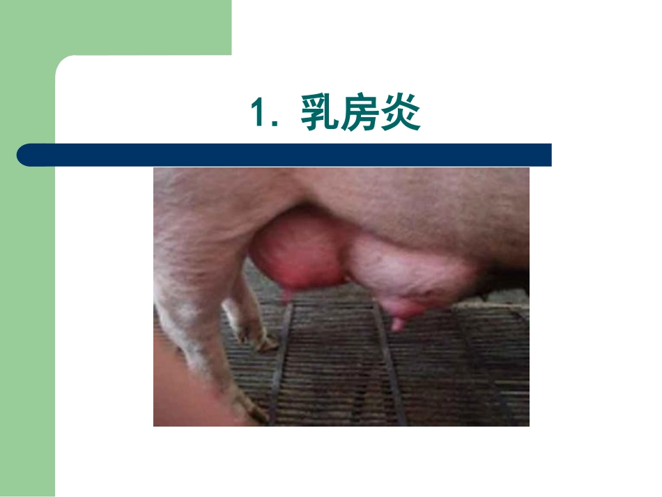 母猪产科疾病_第3页