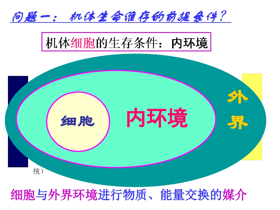 内分泌系统药理_第2页