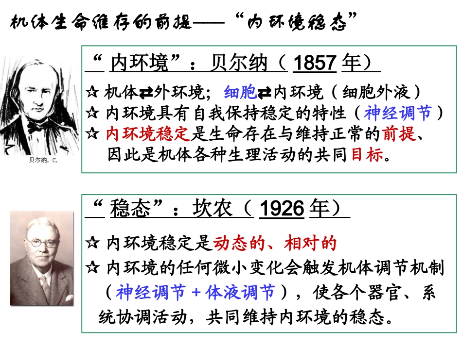 内分泌系统药理_第3页