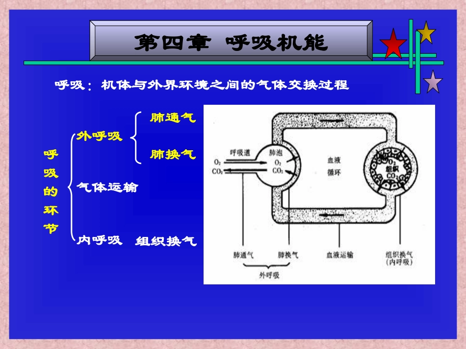 呼吸机能资料_第2页