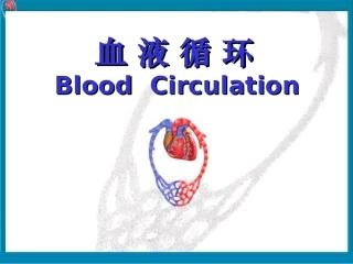 第四章 血液循环