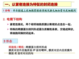 细胞连接与细胞粘连-(2)