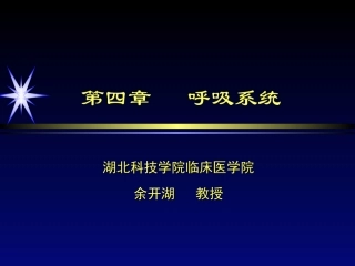 呼吸系统MRI(影像)