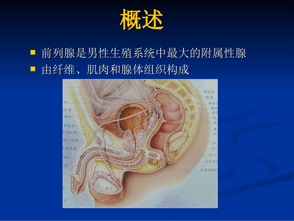 前列腺的MR检查_第2页