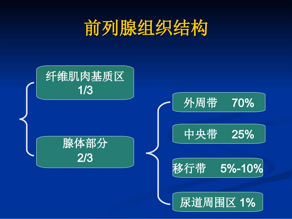 前列腺的MR检查_第3页