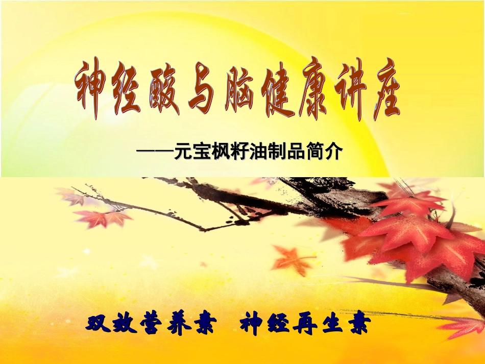 神经酸与脑健康讲座_第1页