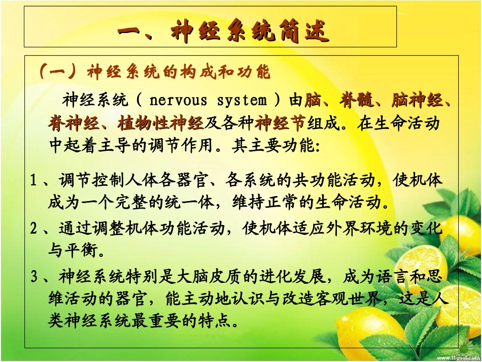 神经酸与脑健康讲座_第2页