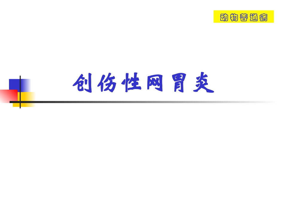 创伤性网胃炎_第1页