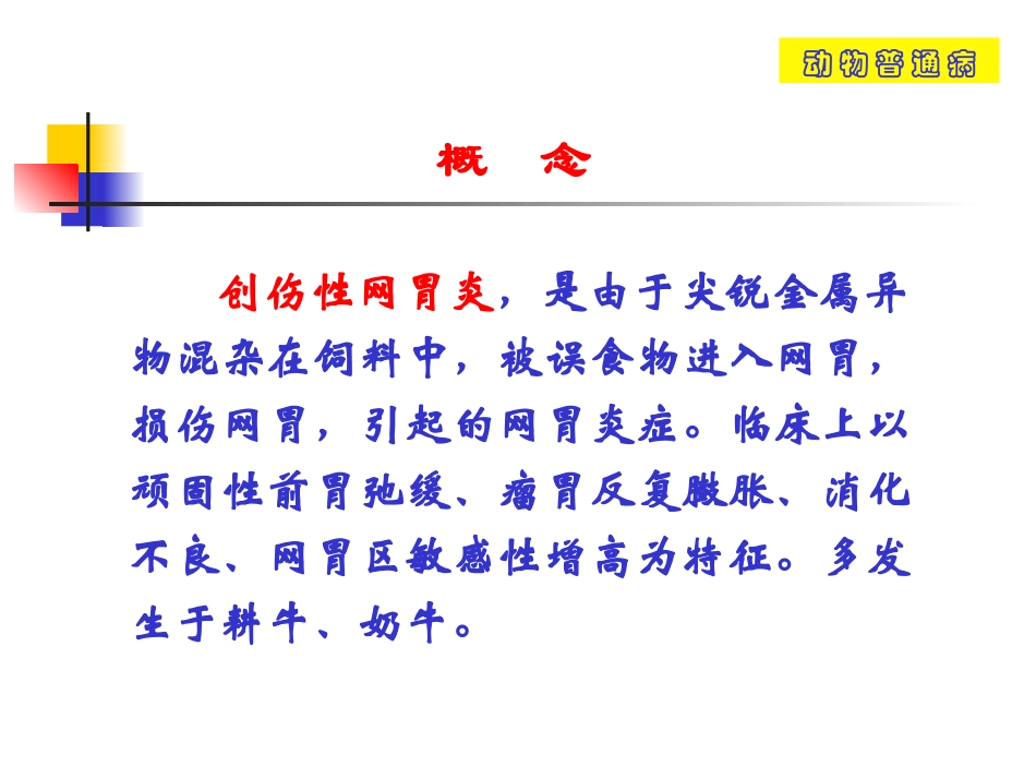 创伤性网胃炎_第2页