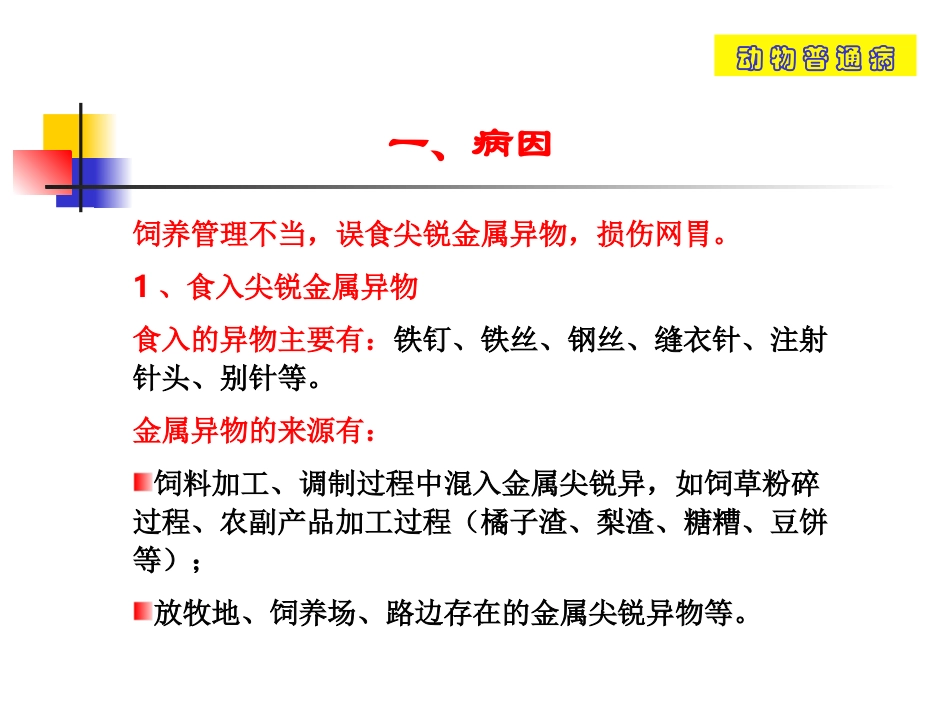 创伤性网胃炎_第3页