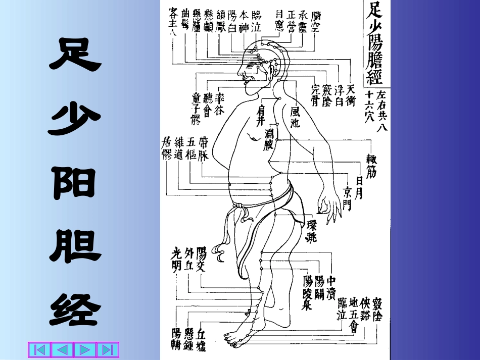经络腧穴PPT_第1页