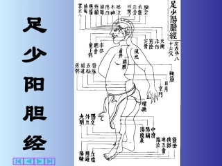 经络腧穴PPT
