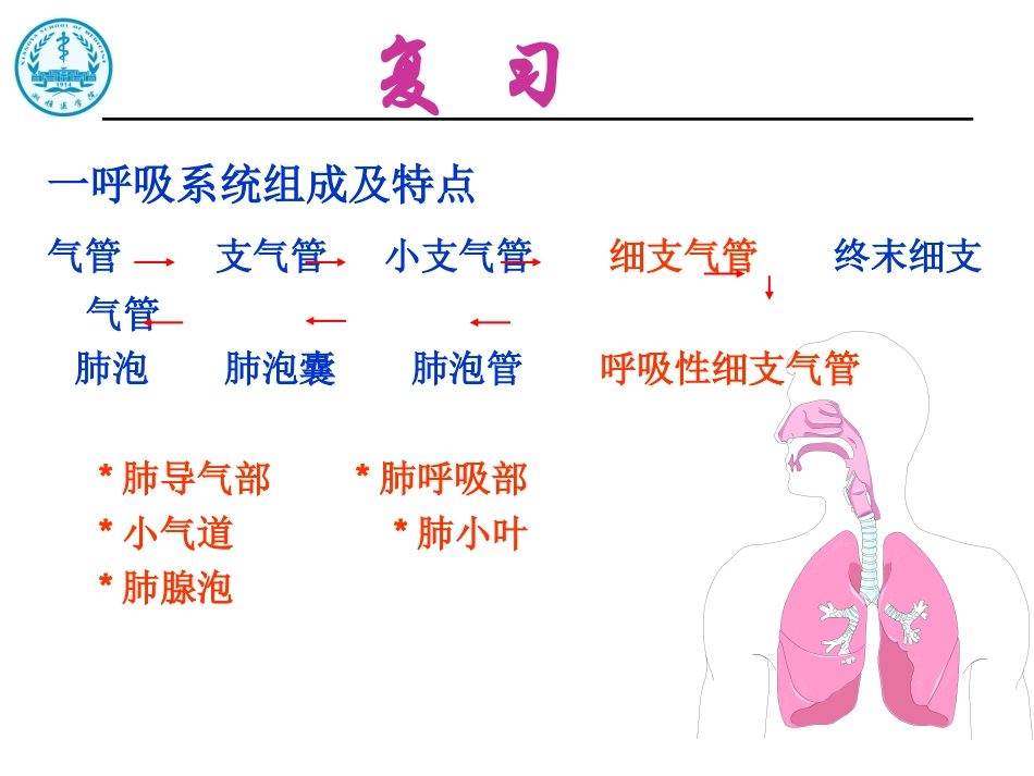 呼吸系统疾经典病_第2页