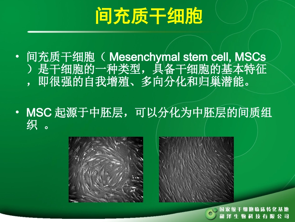 MSC干细胞_第2页