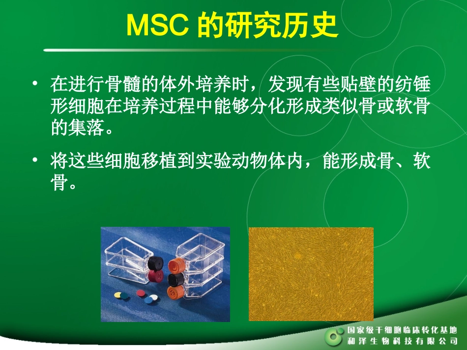 MSC干细胞_第3页