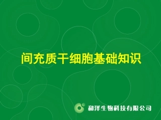 MSC干细胞