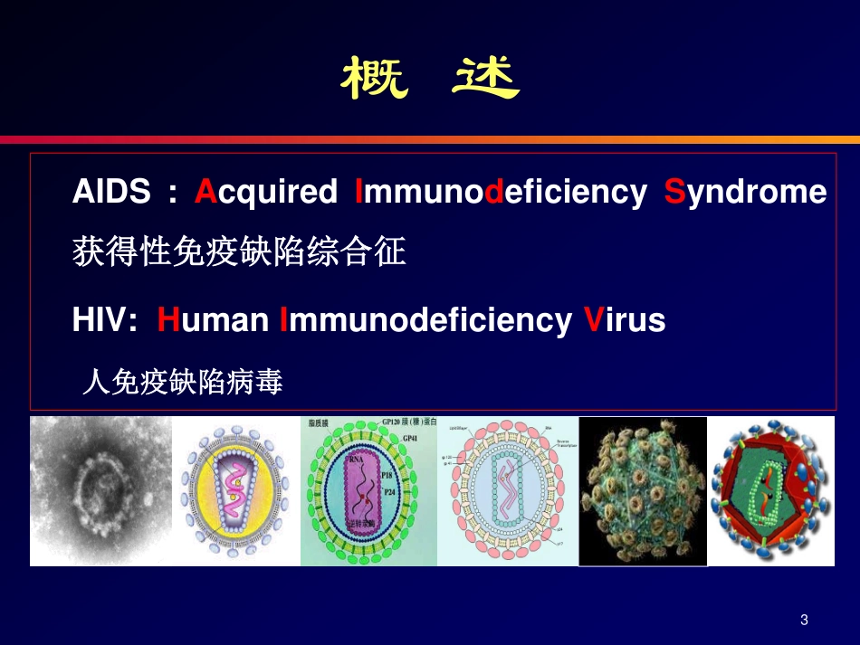 HIV和AIDS何雅婧_第3页