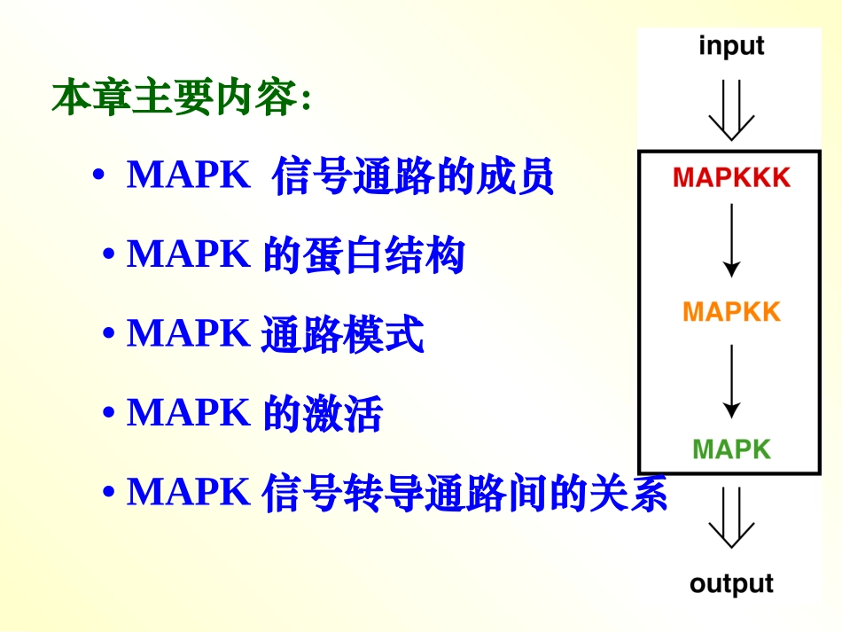 丝裂原活化蛋白激酶_第3页