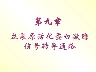 丝裂原活化蛋白激酶
