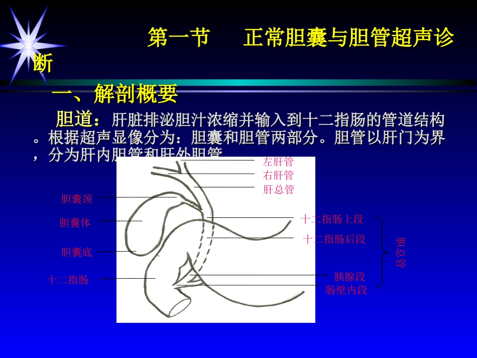 第七章,胆囊,第一二节_第3页
