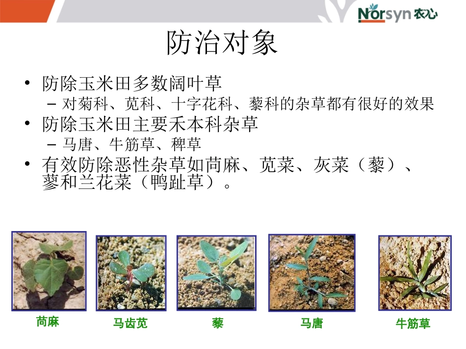 农药杀虫剂杀菌剂除草剂作用机理使用技术及病虫害防治_第3页