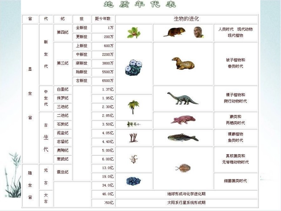 生命的起源-_第3页