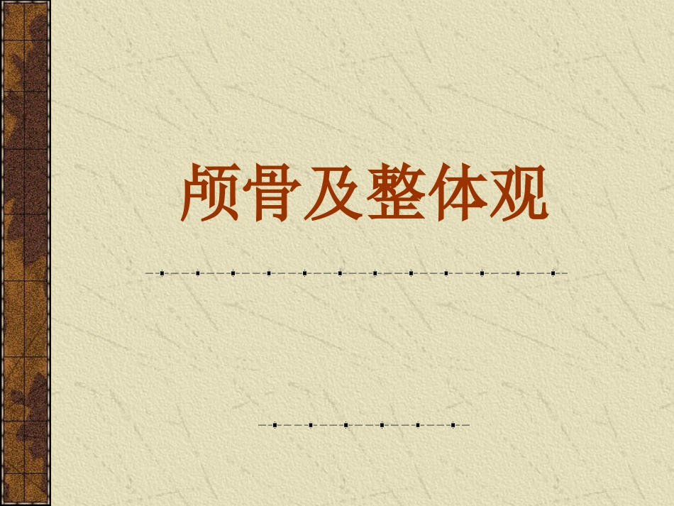 颅骨及整体观_第1页