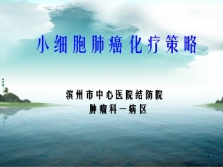 小细胞肺癌化疗策略