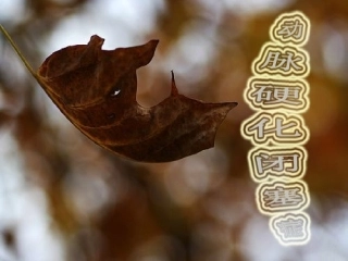 动脉硬化闭塞症典型病例