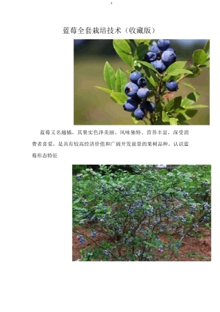 蓝莓全套栽培技术(收藏版)