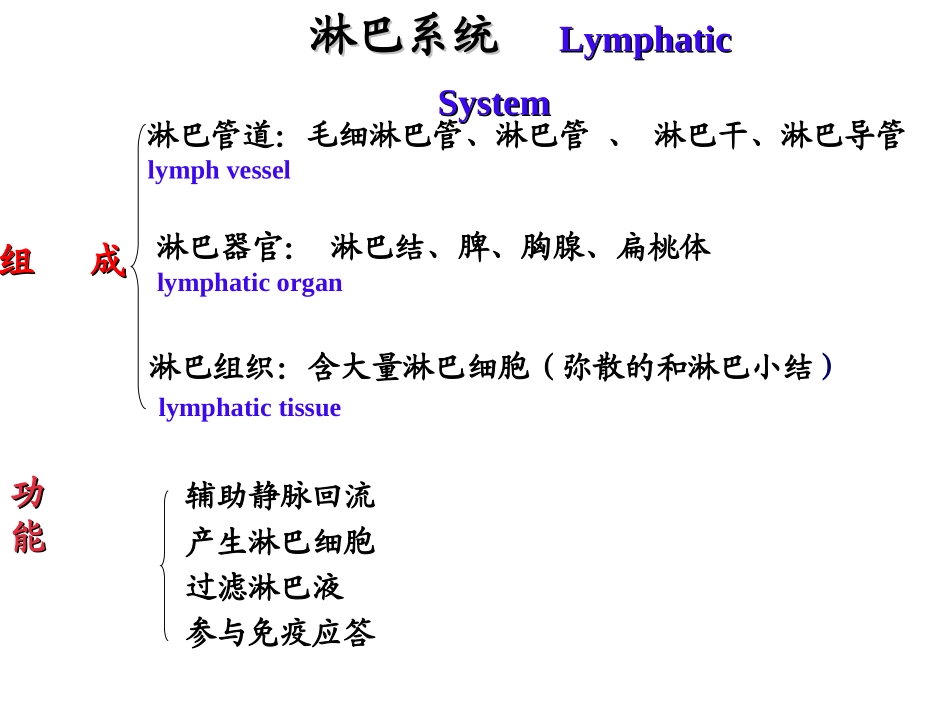 课件淋巴系统_第1页