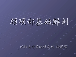 颈项部肌肉基础解剖——起止点及作用
