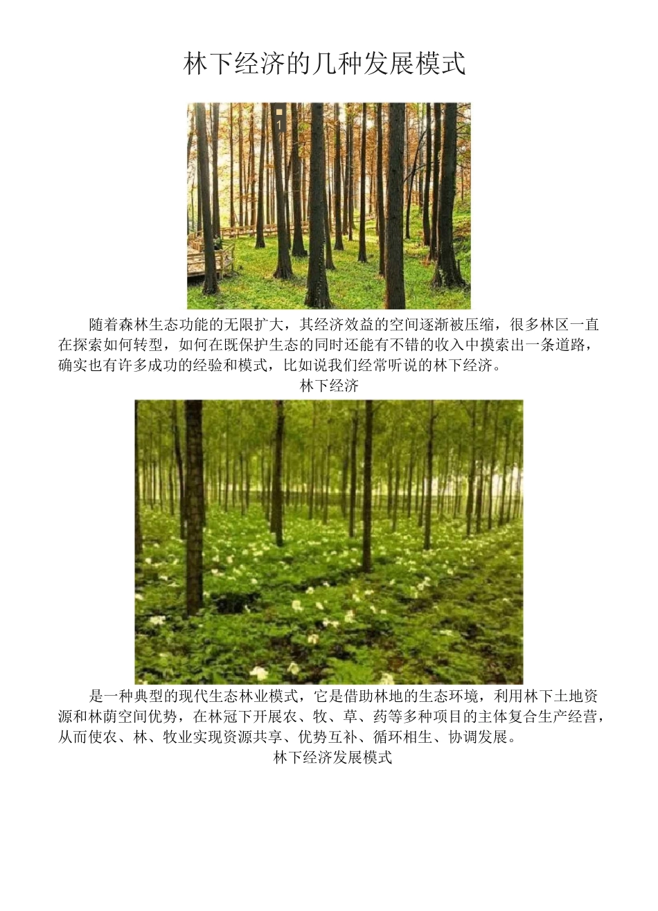 林下经济整理(1)_第1页