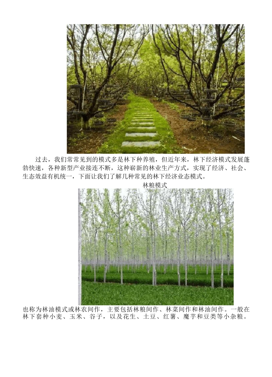 林下经济整理(1)_第2页