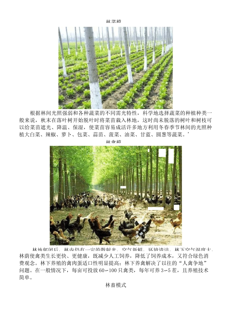 林下经济整理(1)_第3页