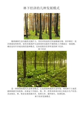 林下经济整理(1)