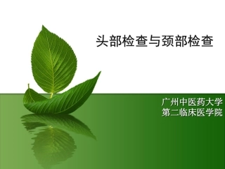 头部检查与颈部检查
