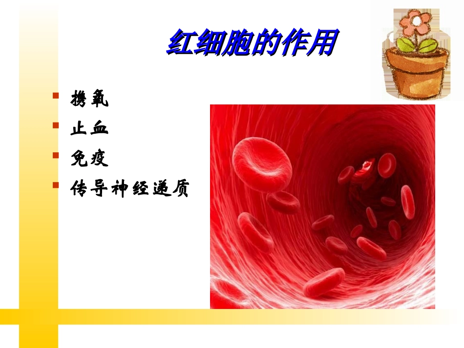 凝血因子-龙岩血站_第3页