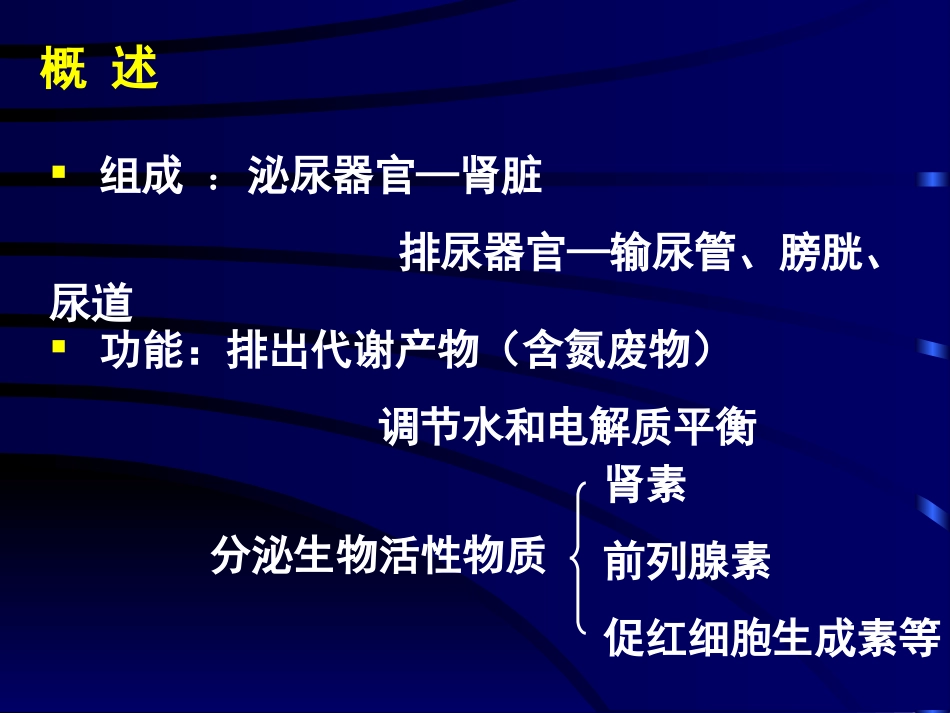 泌尿系统--组织学与胚胎学_第3页