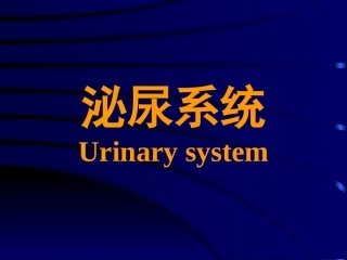 泌尿系统--组织学与胚胎学