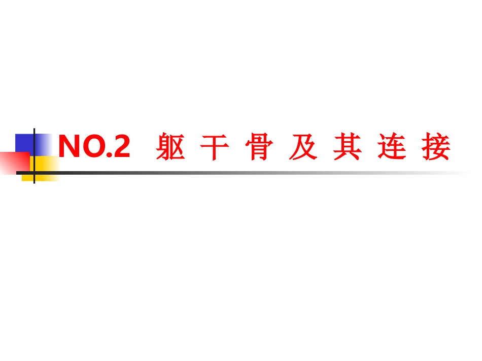 NO.2躯干骨及其连接_第1页