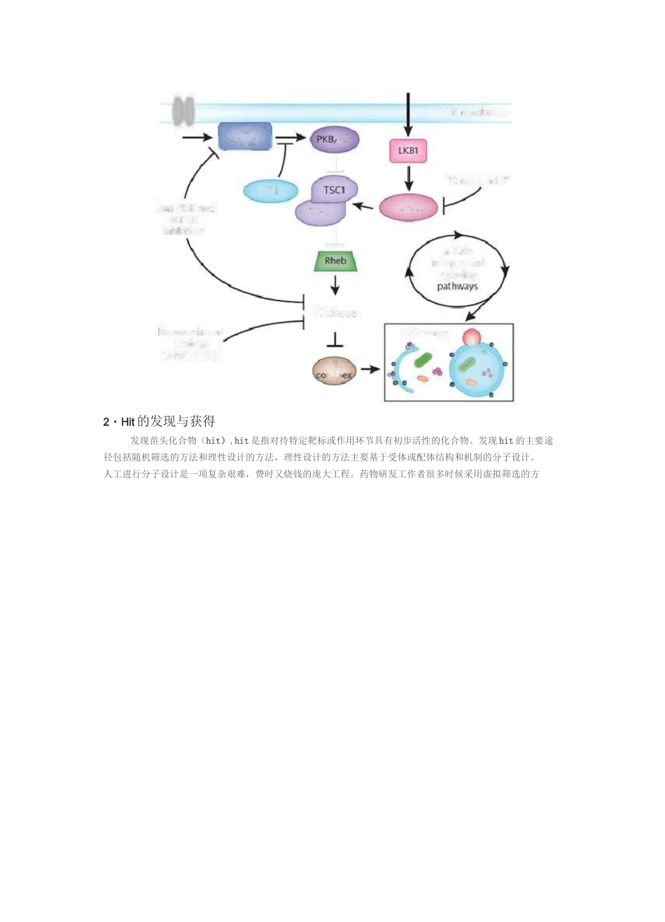 药物研发过程全解_第2页