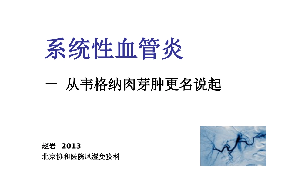 爱爱医资源-系统性血管炎2013_第1页