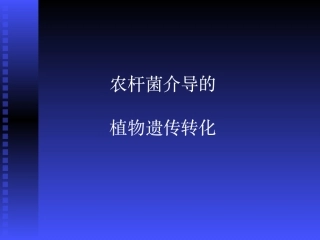 农杆菌介导遗传转化原理