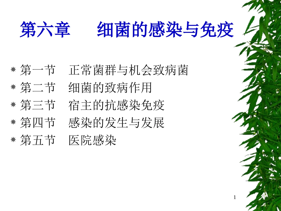 C6细菌感染与免疫_第1页