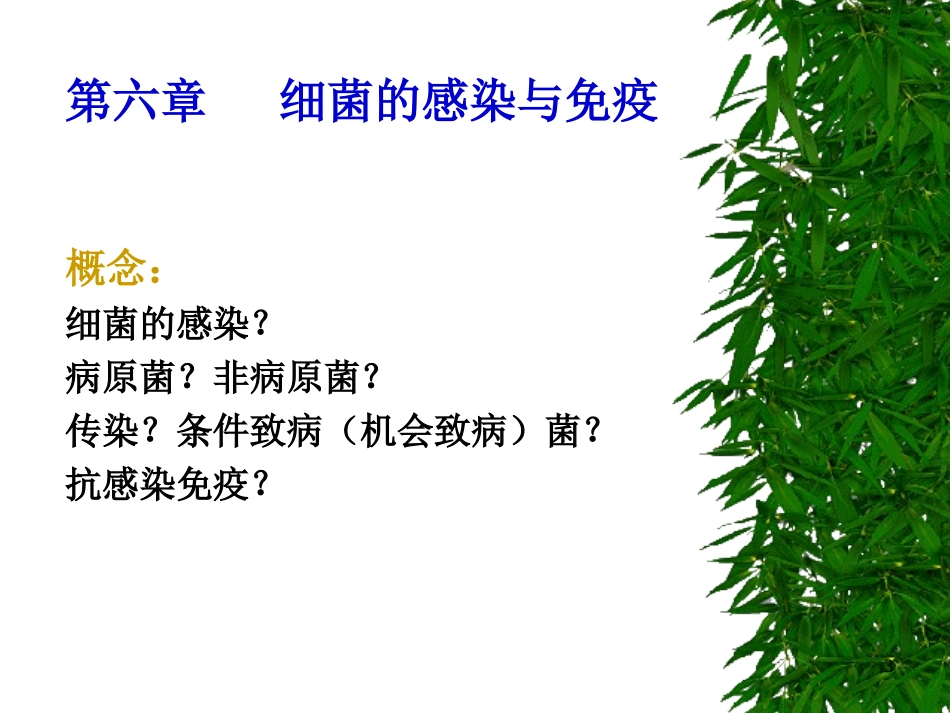 C6细菌感染与免疫_第3页