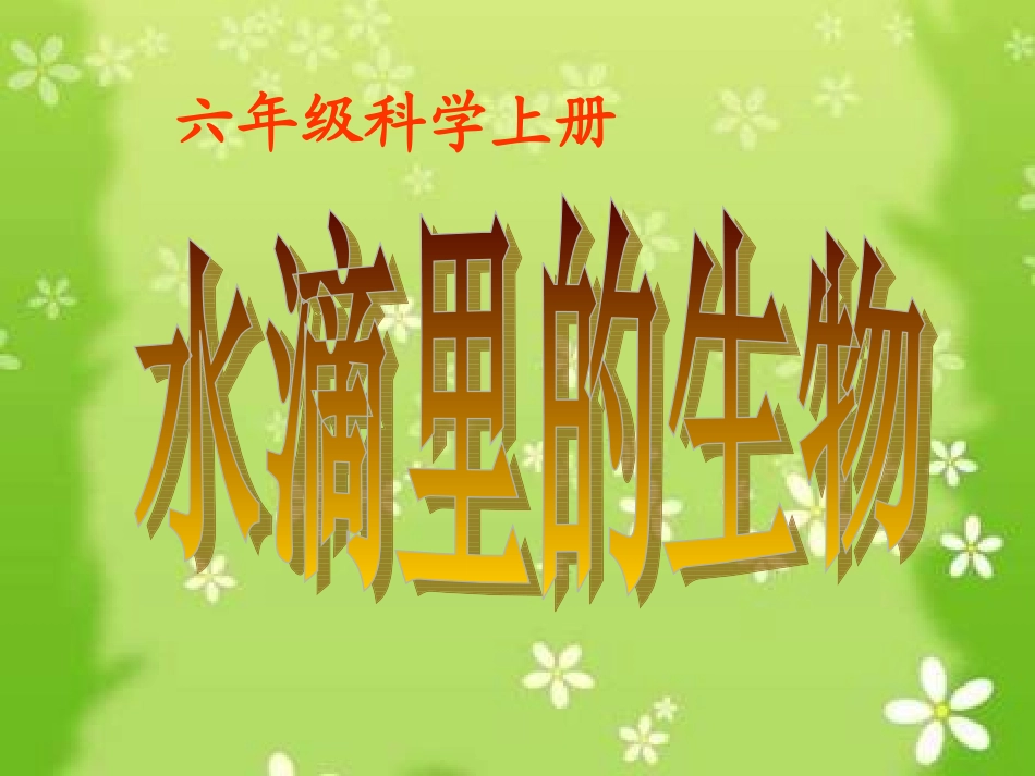 《水滴里的生物》课件_第1页
