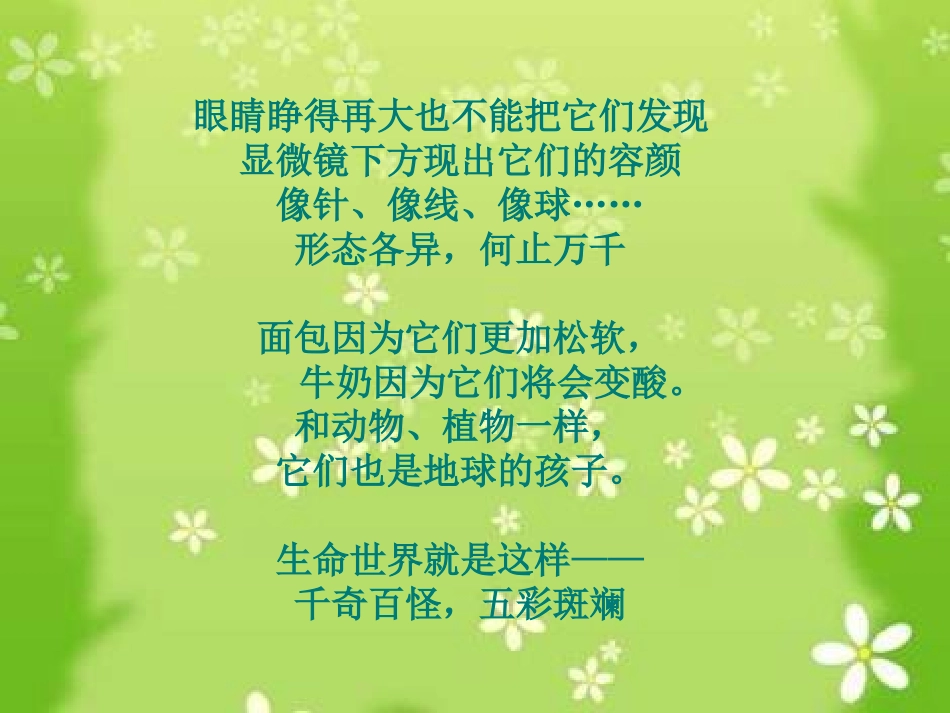 《水滴里的生物》课件_第3页