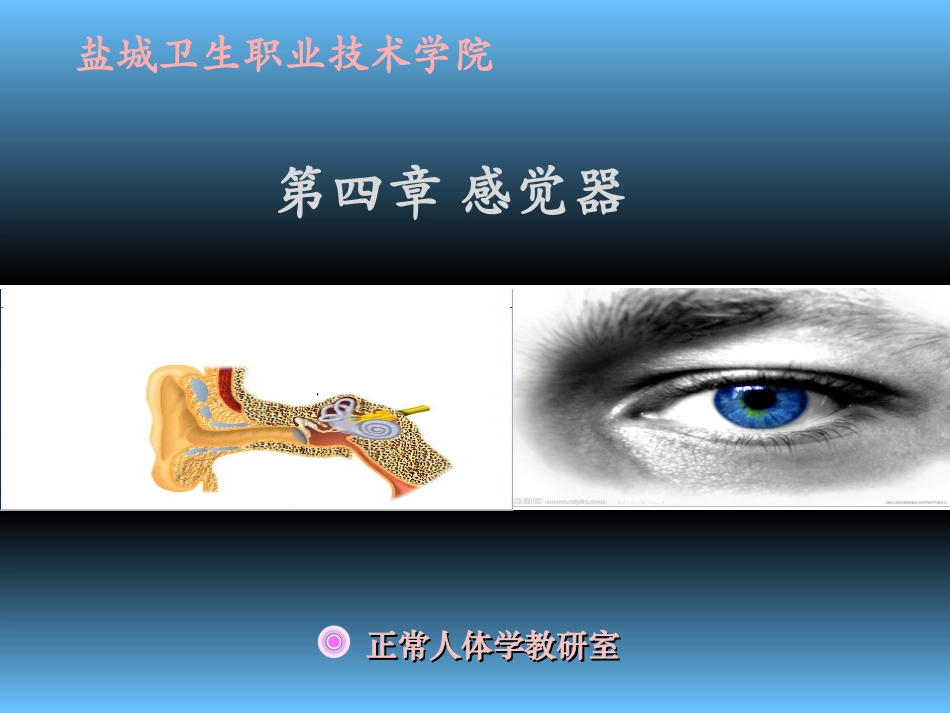 第四章 感觉器-眼睛1_第1页