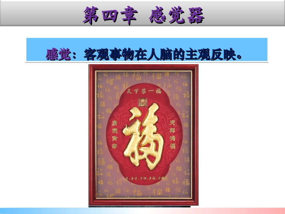 第四章 感觉器-眼睛1_第3页